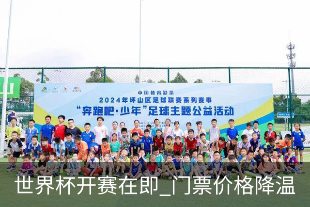 世界杯开赛在即 门票价格降温